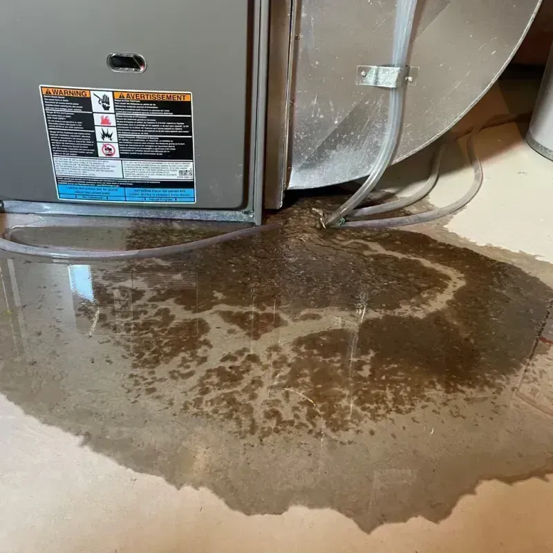 Appliance Leak Cleanup in Odessa, MO